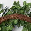 24" Faux Eucalyptus Wreath - Hearth & Hand™ With Magnolia