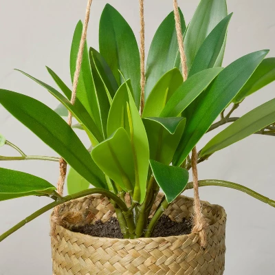 8" Faux Hoya Hanging Plant - Hearth & Hand™ With Magnolia 4 8" Faux Hoya Hanging Plant - Hearth & Hand™ With Magnolia - Image 2