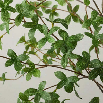 55" Faux Gypsophila Leaf Tree - Hearth & Hand™ With Magnolia 4 55" Faux Gypsophila Leaf Tree - Hearth & Hand™ With Magnolia - Image 2