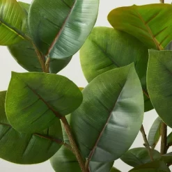 73" Faux Rubber Leaf Tree - Hearth & Hand™ With Magnolia 6 73" Faux Rubber Leaf Tree - Hearth & Hand™ With Magnolia -Home Decor Store GUEST ba2dac9f 6b7d 4918 9626 46c071b77ecf