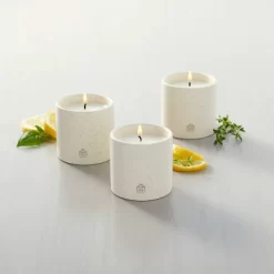 9oz Basil/Lemon/Thyme Speckled Ceramic Kitchen Candle Set - Hearth & Hand™ With Magnolia
