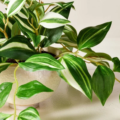 7"x19" Faux Variegated Zebrina Plant - Hearth & Hand™ With Magnolia 4 7"x19" Faux Variegated Zebrina Plant - Hearth & Hand™ With Magnolia - Image 2