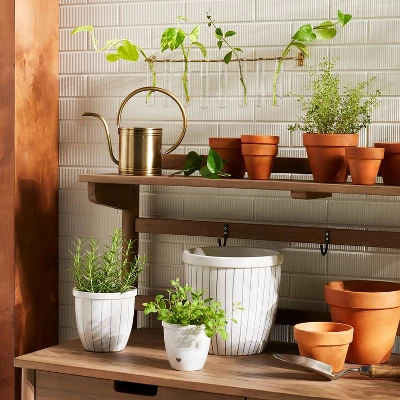 9pc Steel & Glass Plant Propagation Set Gold/Clear - Hearth & Hand™ With Magnolia 3 9pc Steel & Glass Plant Propagation Set Gold/Clear - Hearth & Hand™ With Magnolia