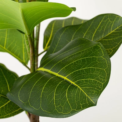 39" Faux Audrey Ficus Tree - Hearth & Hand™ With Magnolia 4 39" Faux Audrey Ficus Tree - Hearth & Hand™ With Magnolia - Image 2