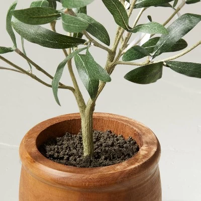 16" Faux Olive Leaf Plant - Hearth & Hand™ With Magnolia 4 16" Faux Olive Leaf Plant - Hearth & Hand™ With Magnolia - Image 2